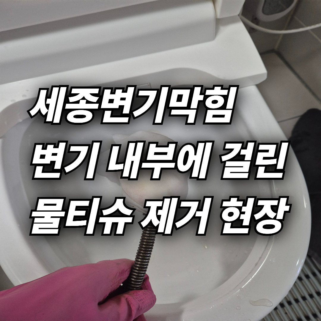 세종 변기뚫는업체 아름동 변기막힘 변기 내부 물티슈 걸림 내시경 점검 후 제거 후기