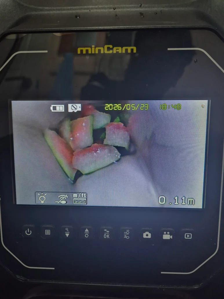 대전 변기뚫는업체 유성구 노은동 수박 버려 발생한 변기막힘 해결 사례 사진 8
