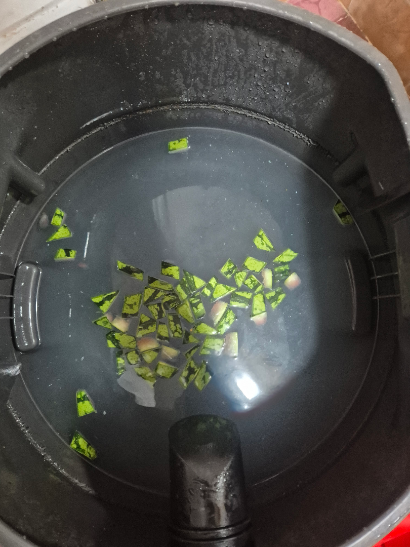 대전 변기뚫는업체 유성구 노은동 수박 버려 발생한 변기막힘 해결 사례 사진 13